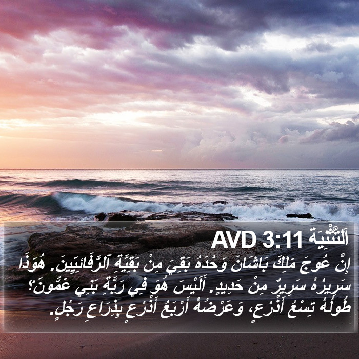 اَلتَّثْنِيَة 3:11 AVD Bible Study