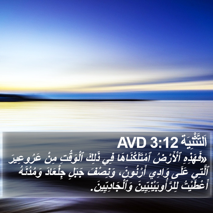 اَلتَّثْنِيَة 3:12 AVD Bible Study