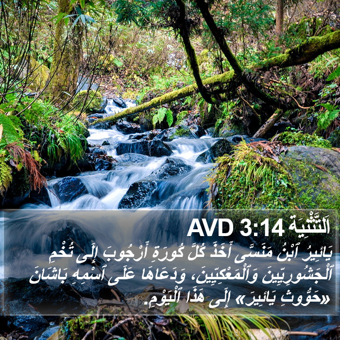 اَلتَّثْنِيَة 3:14 AVD Bible Study