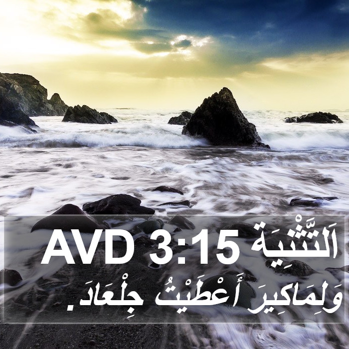 اَلتَّثْنِيَة 3:15 AVD Bible Study