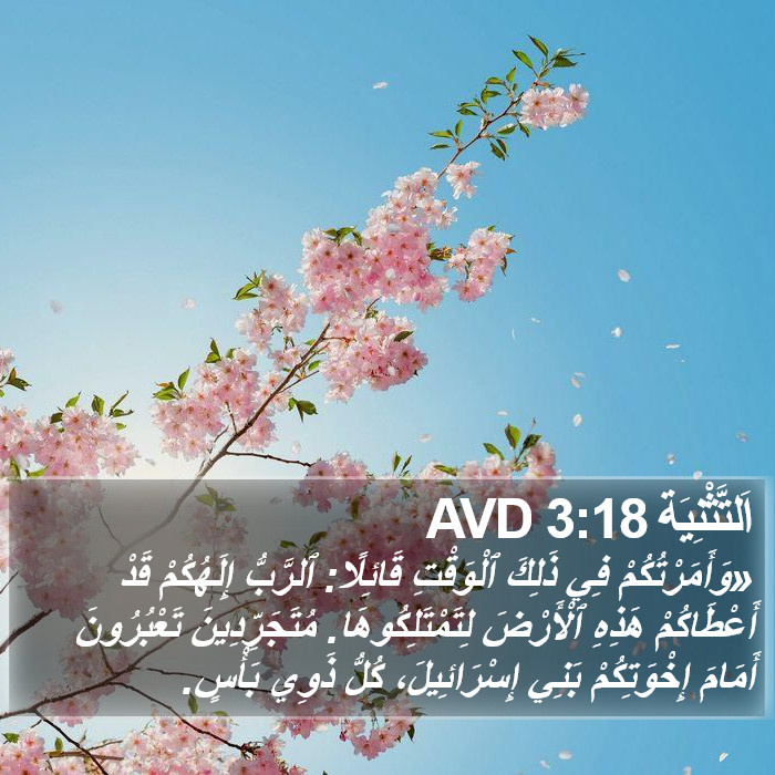 اَلتَّثْنِيَة 3:18 AVD Bible Study