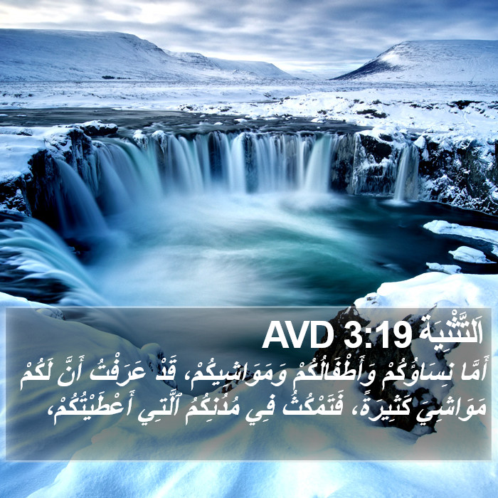 اَلتَّثْنِيَة 3:19 AVD Bible Study