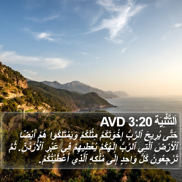 اَلتَّثْنِيَة 3:20 AVD Bible Study