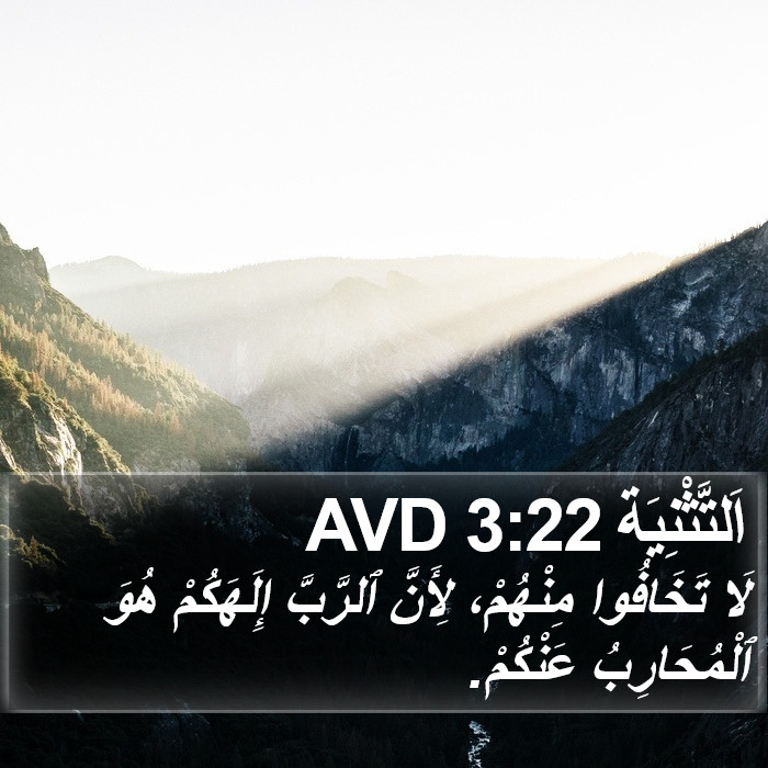 اَلتَّثْنِيَة 3:22 AVD Bible Study