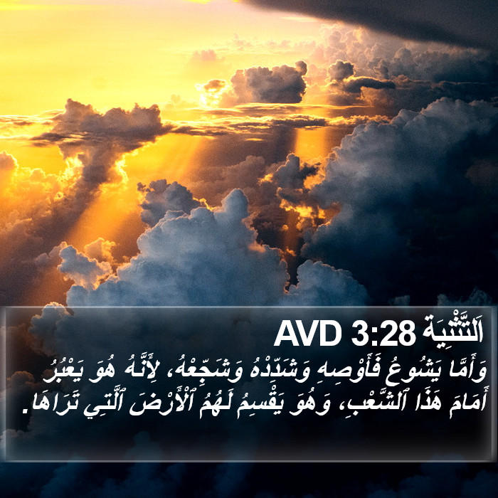 اَلتَّثْنِيَة 3:28 AVD Bible Study