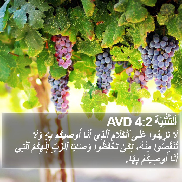 اَلتَّثْنِيَة 4:2 AVD Bible Study