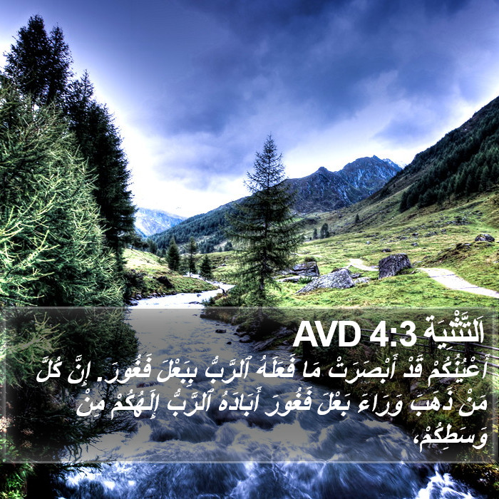 اَلتَّثْنِيَة 4:3 AVD Bible Study