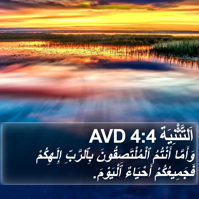 اَلتَّثْنِيَة 4:4 AVD Bible Study