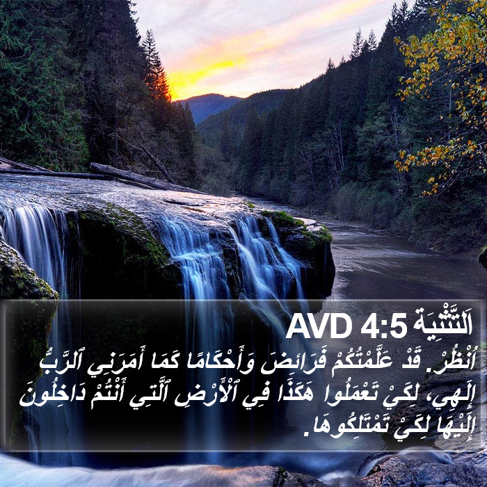 اَلتَّثْنِيَة 4:5 AVD Bible Study