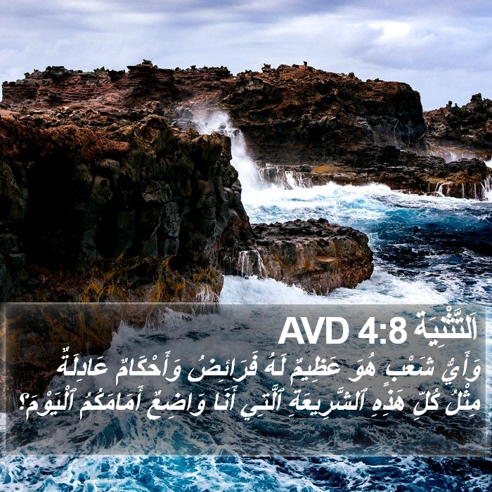 اَلتَّثْنِيَة 4:8 AVD Bible Study