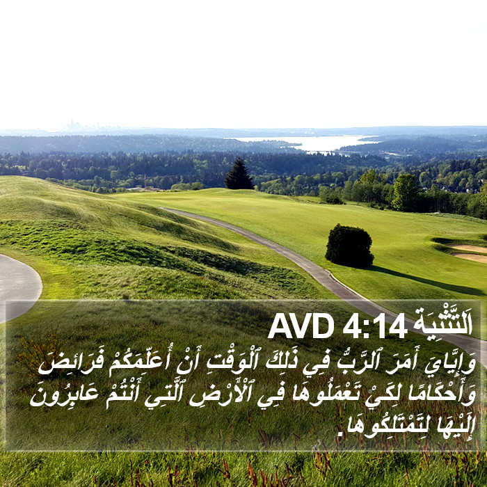 اَلتَّثْنِيَة 4:14 AVD Bible Study