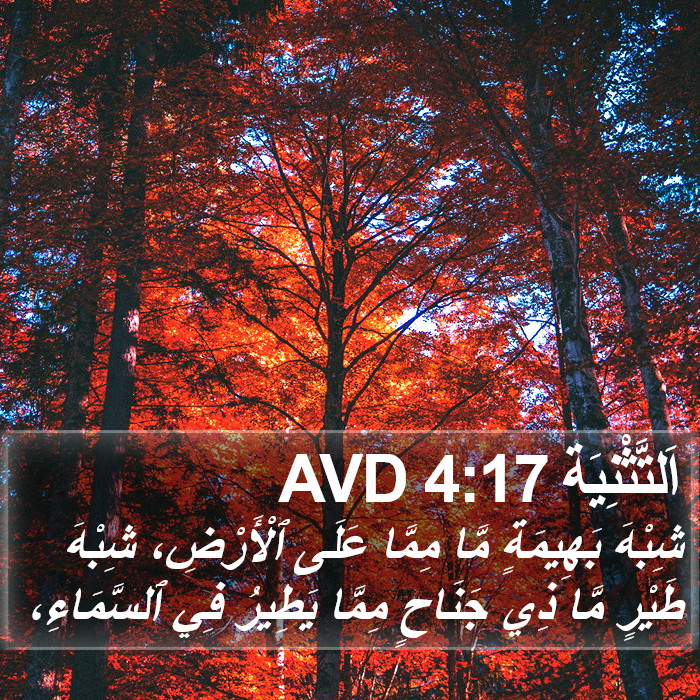 اَلتَّثْنِيَة 4:17 AVD Bible Study