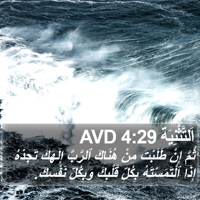 اَلتَّثْنِيَة 4:29 AVD Bible Study