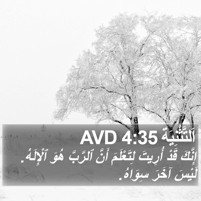 اَلتَّثْنِيَة 4:35 AVD Bible Study