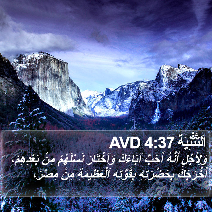 اَلتَّثْنِيَة 4:37 AVD Bible Study