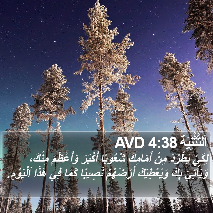 اَلتَّثْنِيَة 4:38 AVD Bible Study