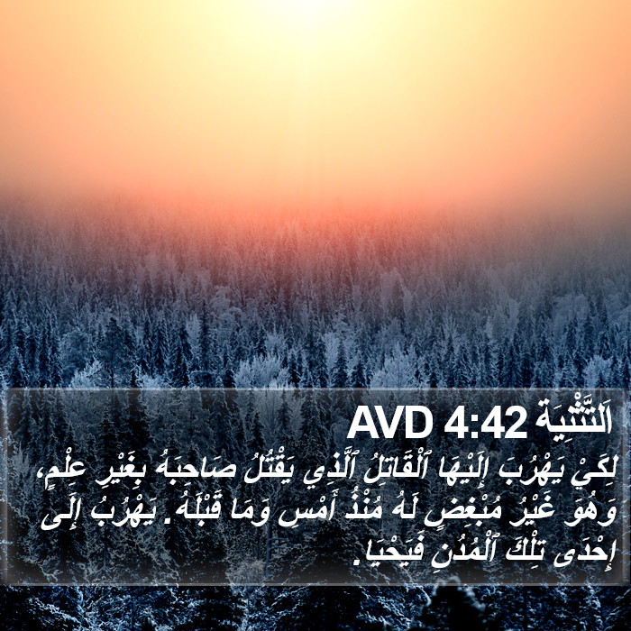 اَلتَّثْنِيَة 4:42 AVD Bible Study