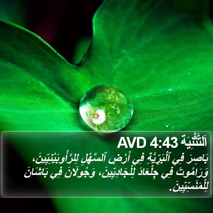 اَلتَّثْنِيَة 4:43 AVD Bible Study