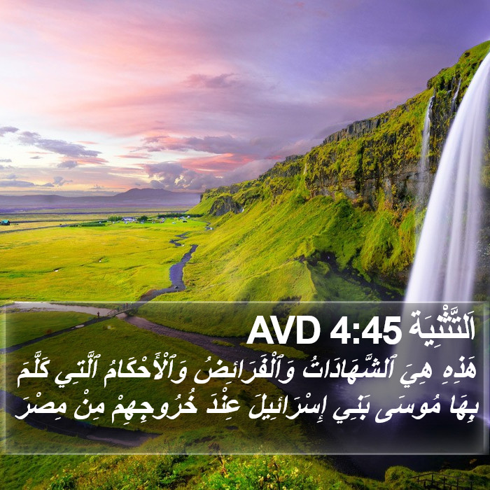 اَلتَّثْنِيَة 4:45 AVD Bible Study