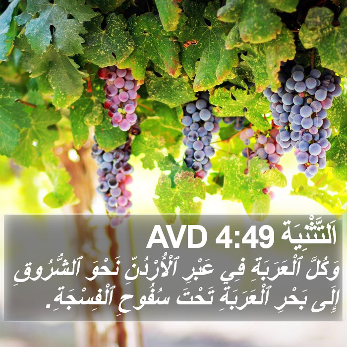 اَلتَّثْنِيَة 4:49 AVD Bible Study