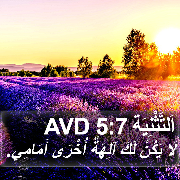 اَلتَّثْنِيَة 5:7 AVD Bible Study