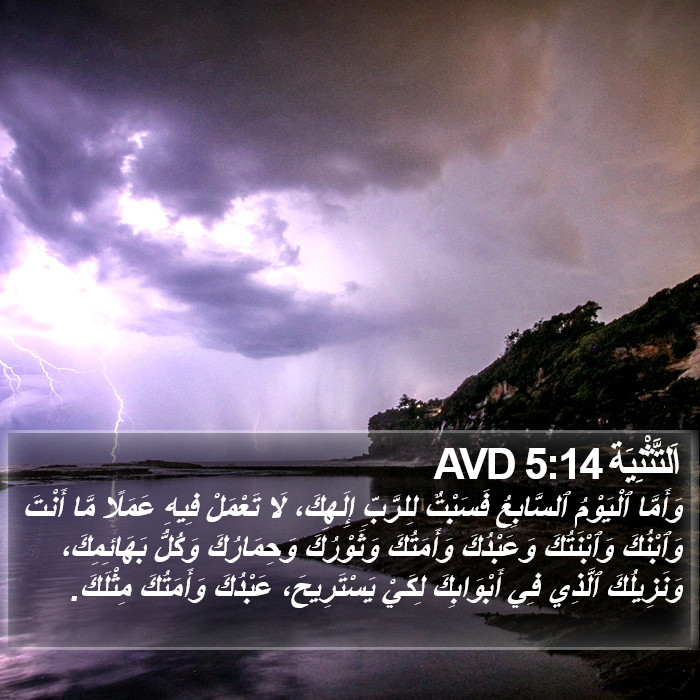 اَلتَّثْنِيَة 5:14 AVD Bible Study