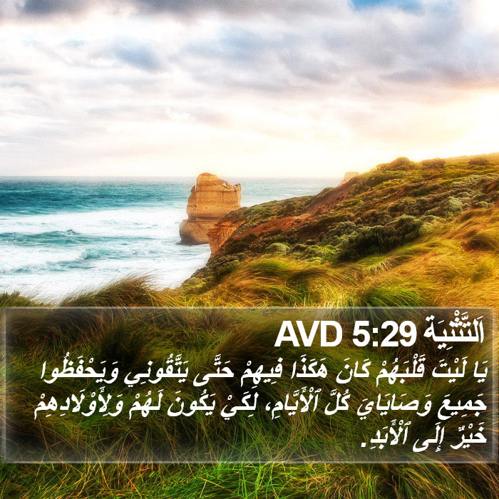 اَلتَّثْنِيَة 5:29 AVD Bible Study