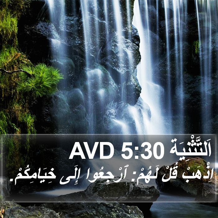 اَلتَّثْنِيَة 5:30 AVD Bible Study