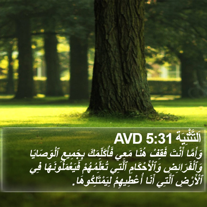 اَلتَّثْنِيَة 5:31 AVD Bible Study