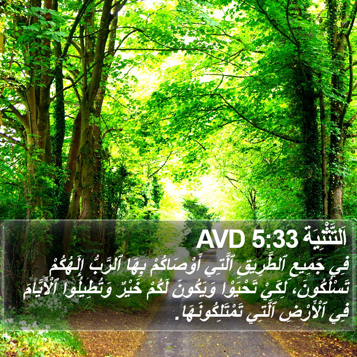 اَلتَّثْنِيَة 5:33 AVD Bible Study