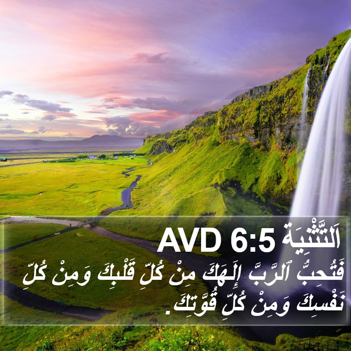 اَلتَّثْنِيَة 6:5 AVD Bible Study