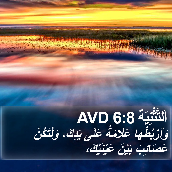 اَلتَّثْنِيَة 6:8 AVD Bible Study