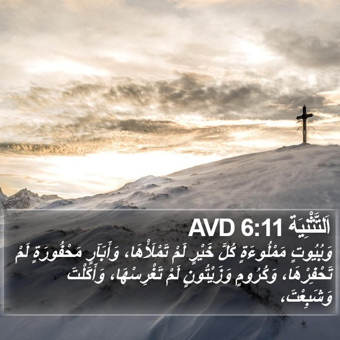 اَلتَّثْنِيَة 6:11 AVD Bible Study