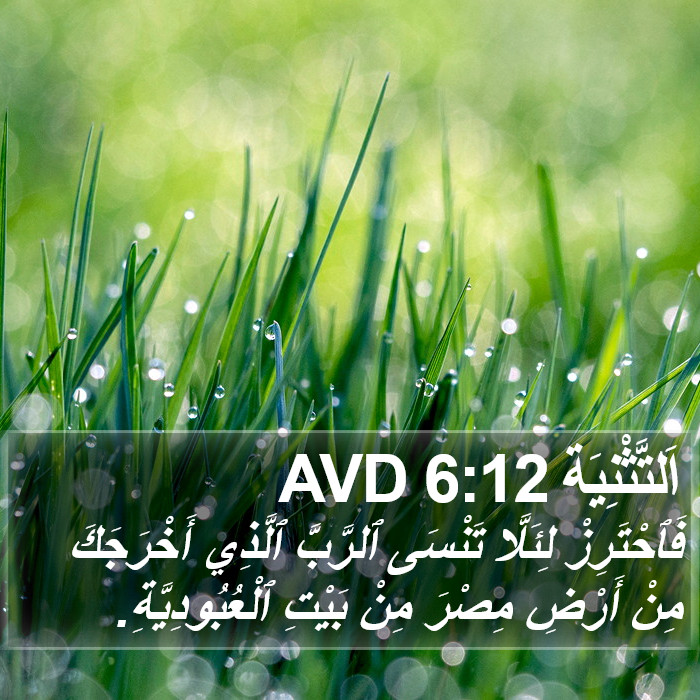 اَلتَّثْنِيَة 6:12 AVD Bible Study