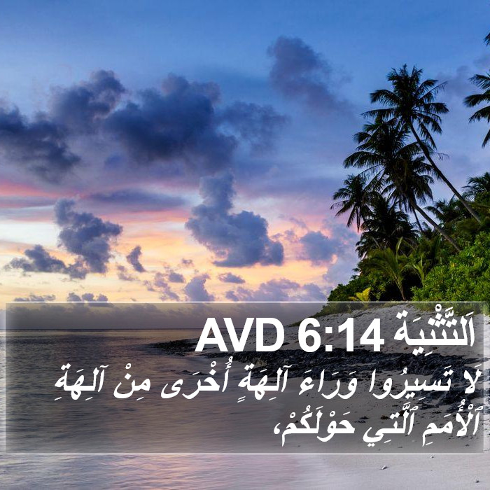 اَلتَّثْنِيَة 6:14 AVD Bible Study