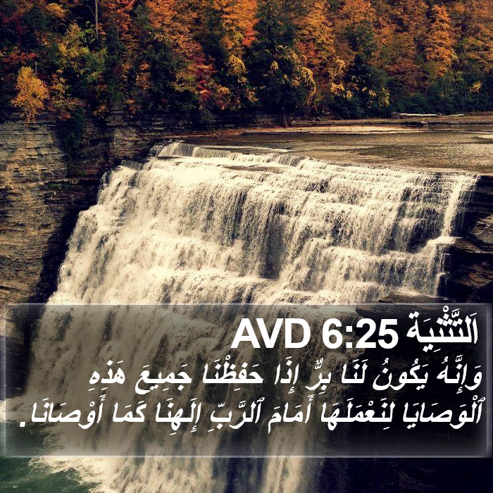 اَلتَّثْنِيَة 6:25 AVD Bible Study