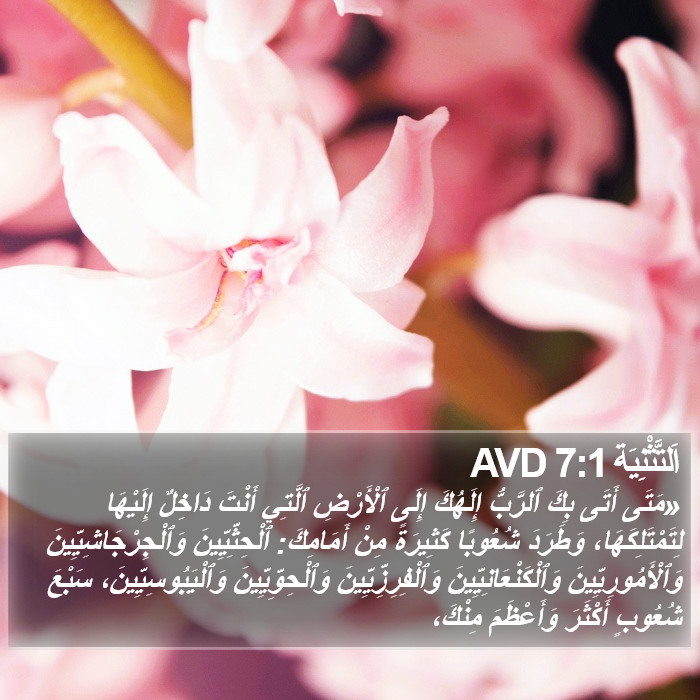 اَلتَّثْنِيَة 7:1 AVD Bible Study