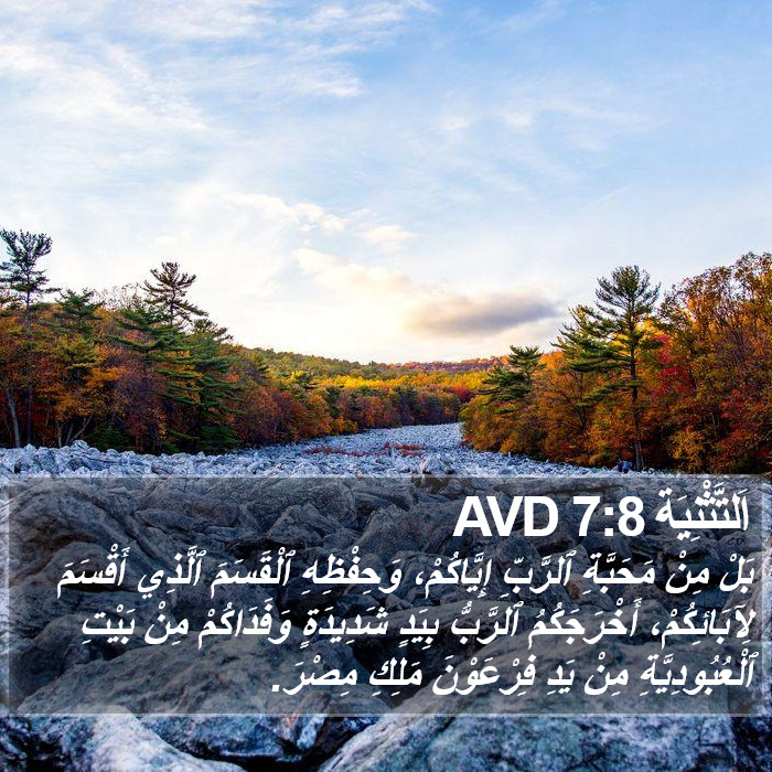 اَلتَّثْنِيَة 7:8 AVD Bible Study