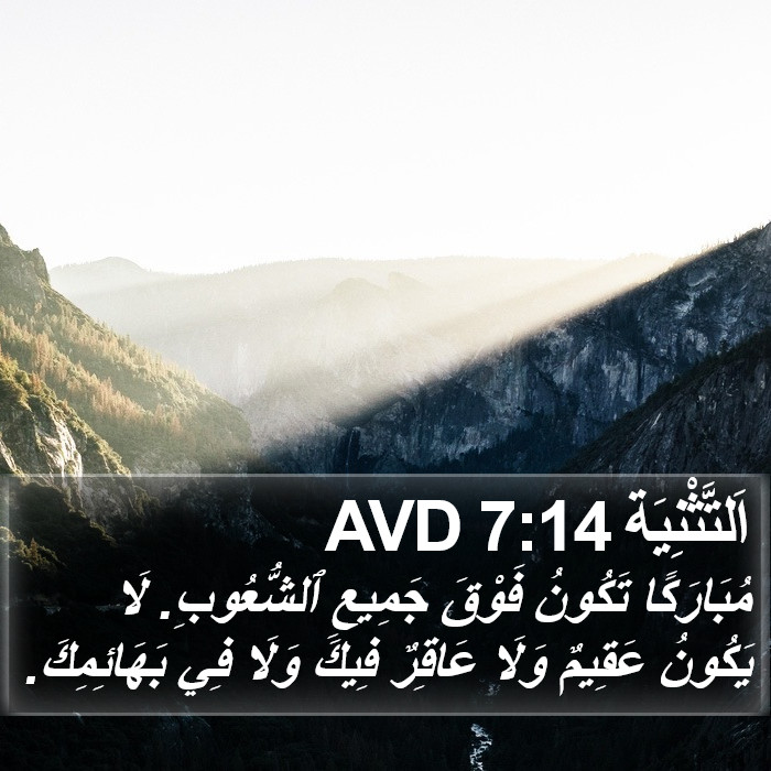 اَلتَّثْنِيَة 7:14 AVD Bible Study