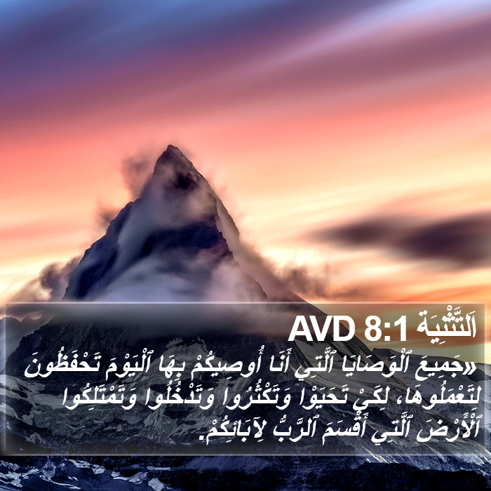 اَلتَّثْنِيَة 8:1 AVD Bible Study