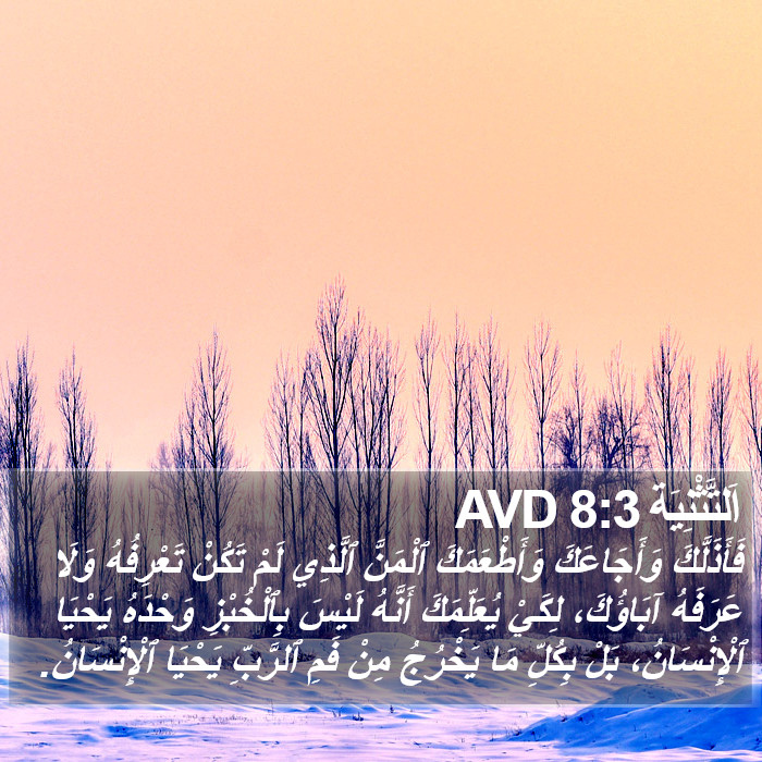 اَلتَّثْنِيَة 8:3 AVD Bible Study