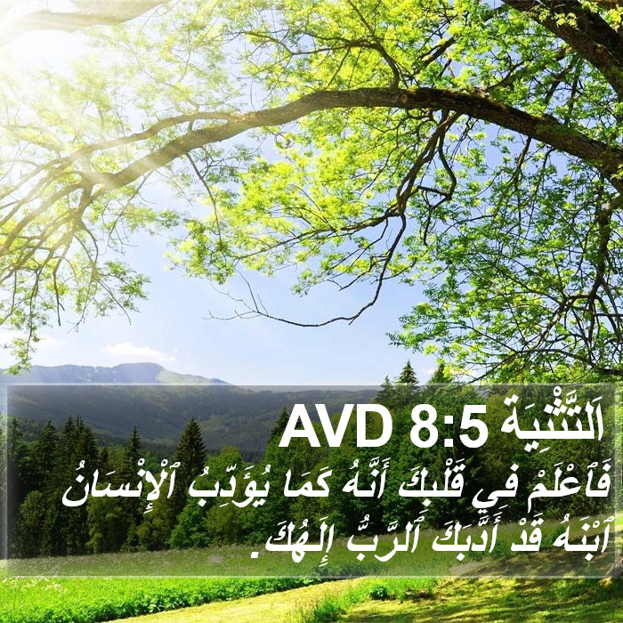 اَلتَّثْنِيَة 8:5 AVD Bible Study