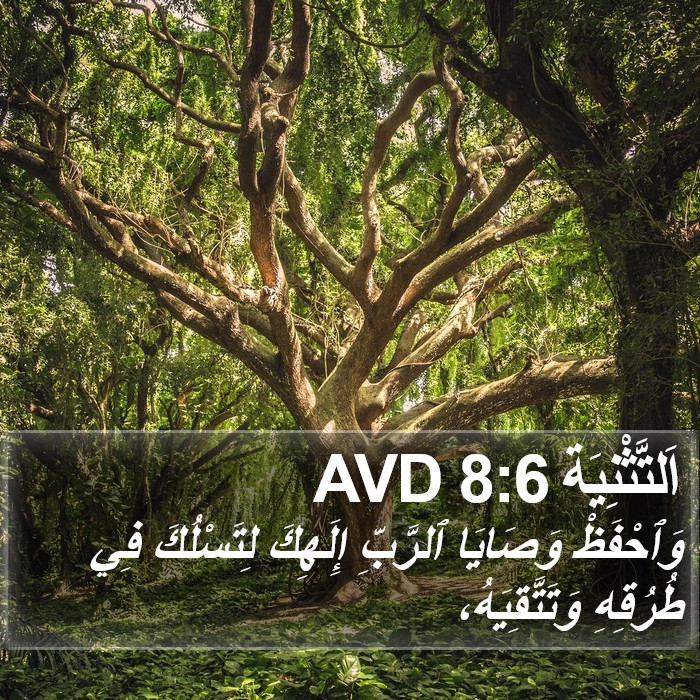 اَلتَّثْنِيَة 8:6 AVD Bible Study