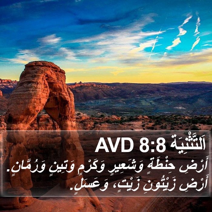 اَلتَّثْنِيَة 8:8 AVD Bible Study