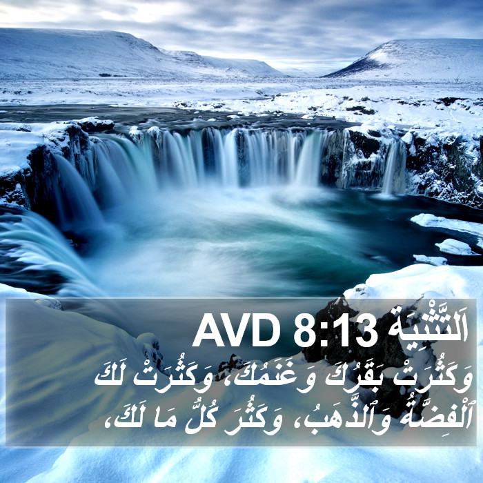 اَلتَّثْنِيَة 8:13 AVD Bible Study