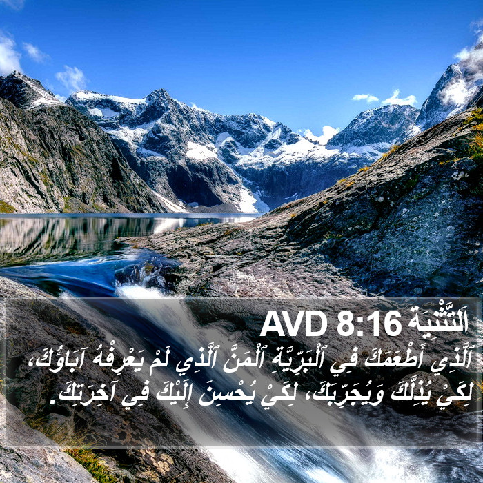 اَلتَّثْنِيَة 8:16 AVD Bible Study