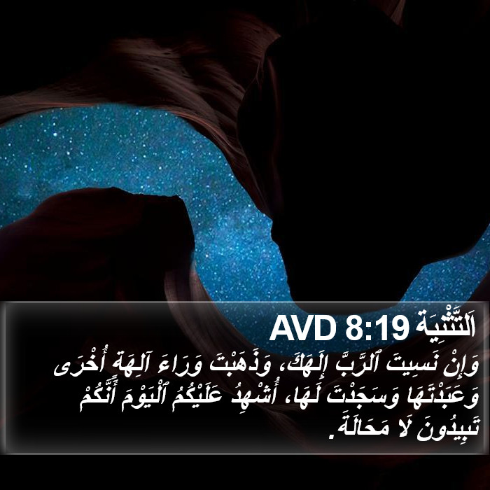 اَلتَّثْنِيَة 8:19 AVD Bible Study