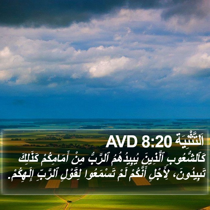 اَلتَّثْنِيَة 8:20 AVD Bible Study