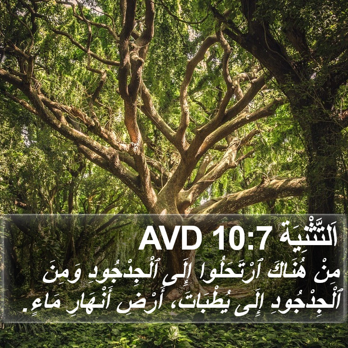 اَلتَّثْنِيَة 10:7 AVD Bible Study