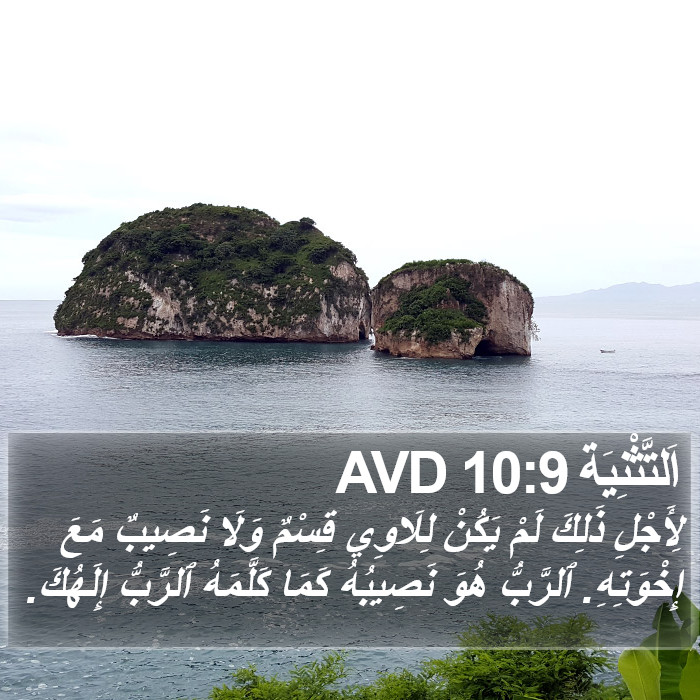 اَلتَّثْنِيَة 10:9 AVD Bible Study